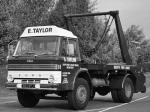 Ford D-Series 1965 года